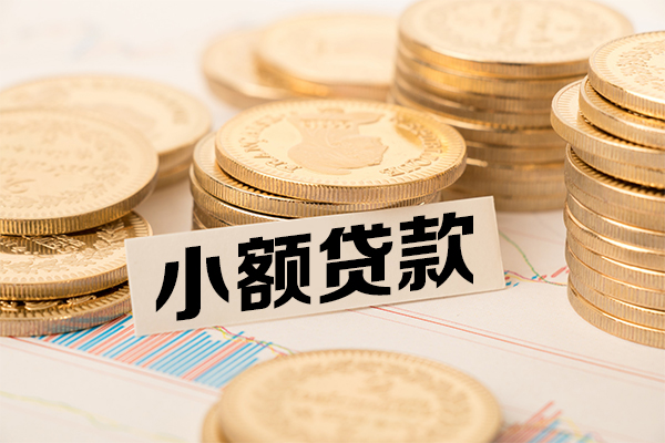 东莞24小额贷款-东莞24民间短期私借借款-东莞24急需借钱可以找我